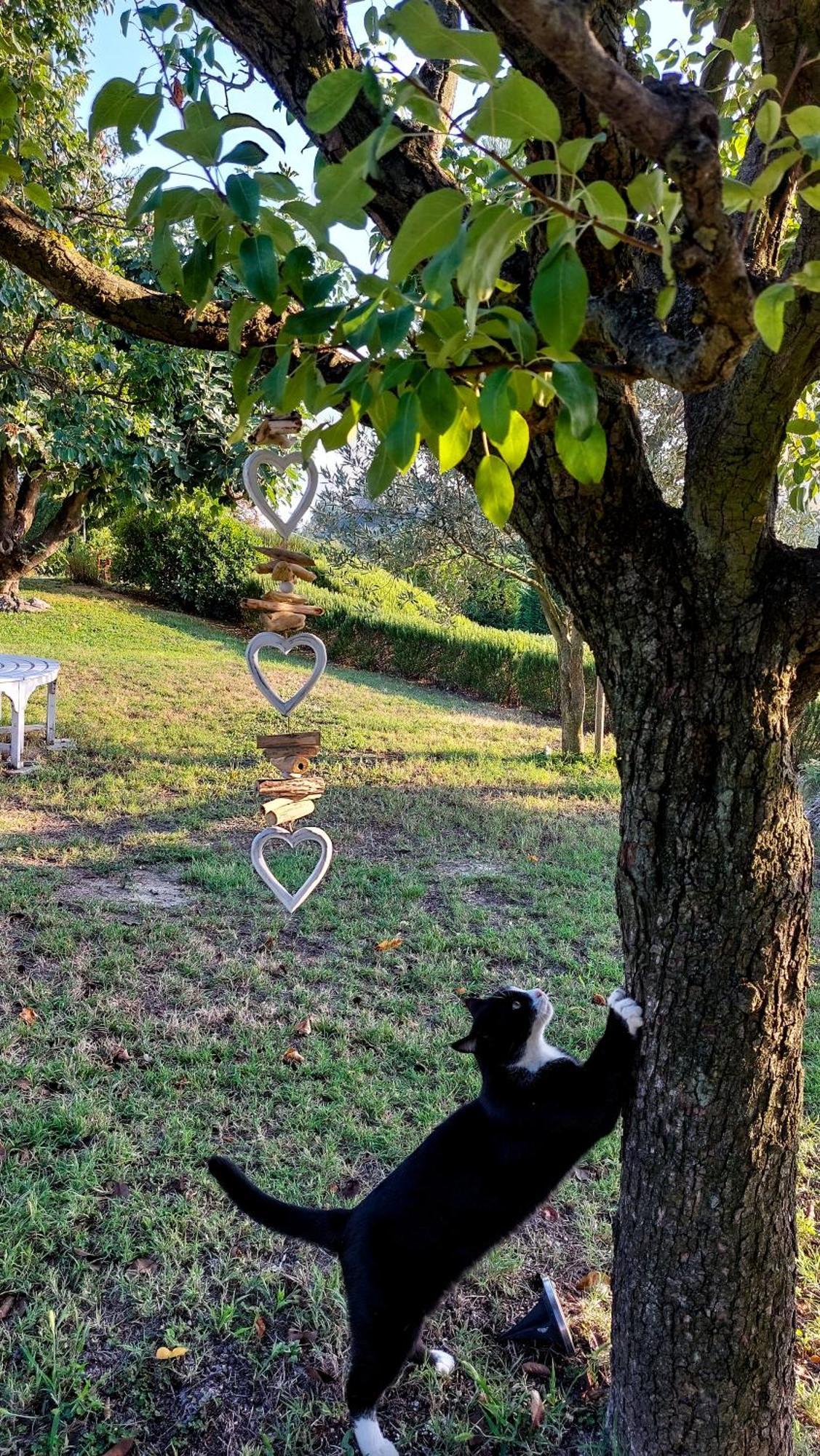 Fontanile Casa Lucesoleゲストハウス エクステリア 写真